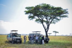 tanzania serengeti great migration camps safaris 29