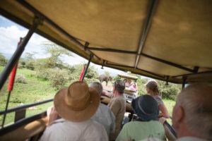 tanzania serengeti great migration camps safaris 3