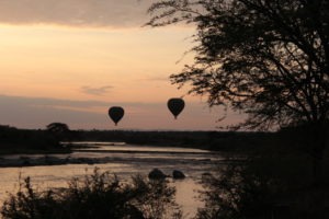 tanzania serengeti great migration camps safaris 31