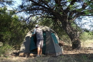 botswana bushways safari semi participation tents camping 9