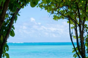 Seychelles inner islands denis private island8