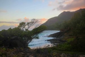 Seychelles inner islands silhoette la belle tortue16