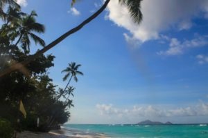 Seychelles inner islands silhoette la belle tortue17