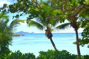 Seychelles inner islands silhoette la belle tortue8