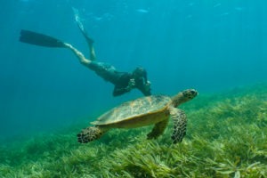 Seychelles outer islands Alphonse Island Resort activies ocean15