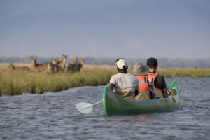 zimbabwe mana pools national park nyamatusi camp 29