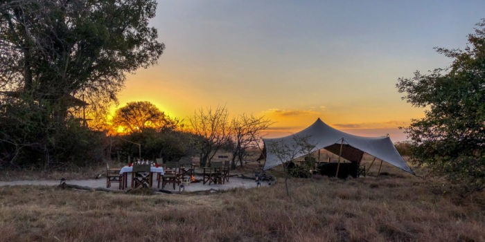 zambia kafue national park ntemwa busanga camp 14