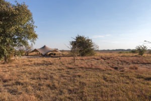 zambia kafue national park ntemwa busanga camp 17