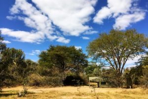 zambia kafue national park ntemwa busanga camp 21