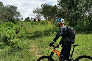 Kenya masai mara mountain biking riding cycling big523