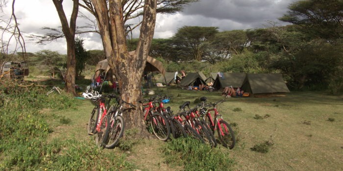 Kenya masai mara mountain biking riding cycling big57