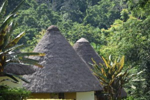 uganda kibale national park guest cottages affordable lodge 9