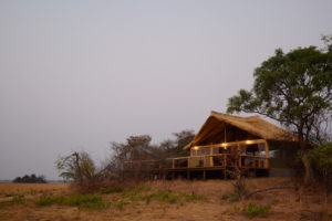 zambia kafue national park kasonso busanga camp 20