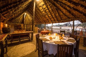 zambia north luangwa national park safari mwaleshi camp 11