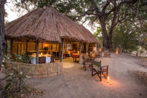 zambia north luangwa national park safari mwaleshi camp 17