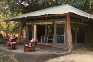 zambia south luangwa national park tena tena camp 10