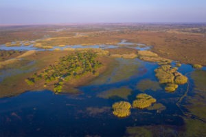 zambia bangweulu wetlands shoebill island camp 1