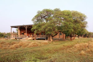 zambia bangweulu wetlands shoebill island camp 17