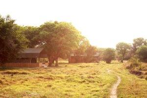 zambia bangweulu wetlands shoebill island camp 18