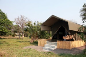 zambia bangweulu wetlands shoebill island camp 19