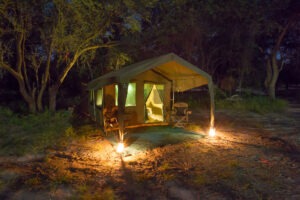 botswana okavango expeditions mobile safaris 17