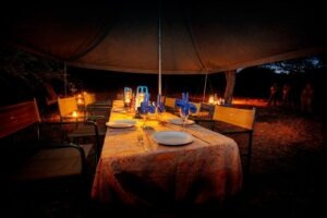 botswana okavango expeditions mobile safaris 22