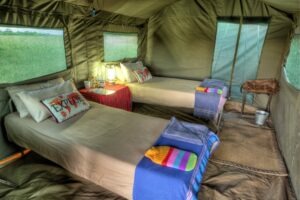 botswana okavango expeditions mobile safaris 23