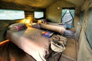 botswana okavango expeditions mobile safaris 26