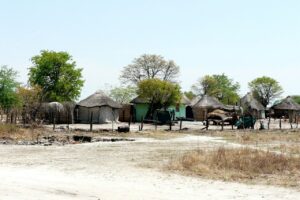 botswana okavango expeditions mobile safaris 31