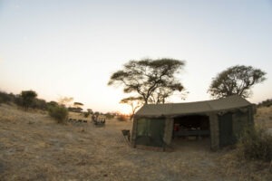 Tanzania Camp Dorobo Walking Mobile Camping Safari5