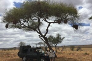 Tanzania Ruaha Dorobo Walking Mobile Camping Safari6