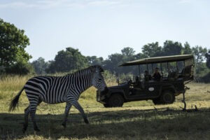 zambia south luangwa thebushcampcompany safaris 24