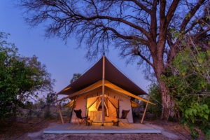 botswana okavango delta tented camp maru luxury 20
