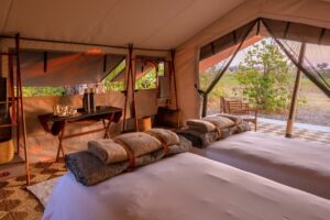 botswana okavango delta tented camp maru luxury 22