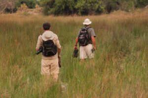 botswana okavango delta walking safaris david foot 3 night 17
