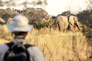 botswana okavango delta walking safaris david foot 3 night 20