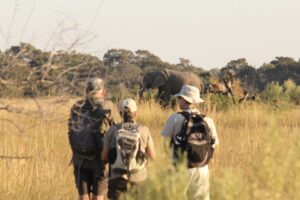 botswana okavango delta walking safaris david foot 3 night 31