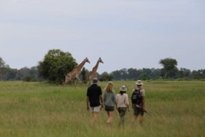 botswana okavango delta walking safaris david foot 3 night 33