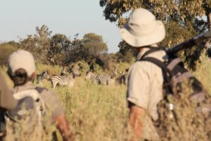botswana okavango delta walking safaris david foot 3 night 39
