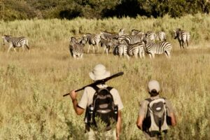 botswana okavango delta walking safaris david foot 3 night 40