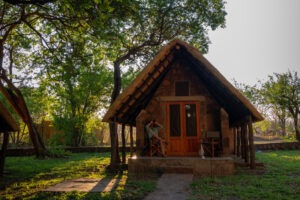 zimbabwe hwange national park bumbusi wilderness camp 41