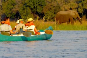 zimbabwe mana pools national park camp mana 7
