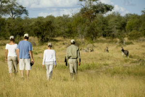 south africa kruger national park ngala safari lodge 10