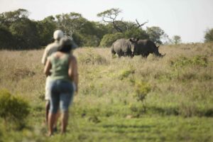 south africa kruger national park ngala safari lodge 45