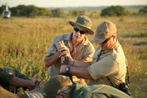 south africa kruger national park ngala safari lodge 49