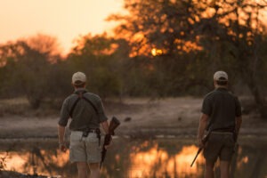 south africa greater kruger balule africa on foot wilderness trails camp 12