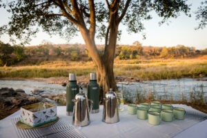 south africa greater kruger balule africa on foot wilderness trails camp 19
