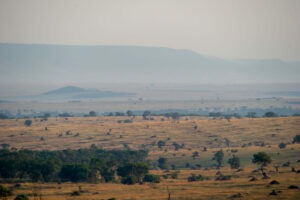 tanzania serengeti mara mara tented lodge 17