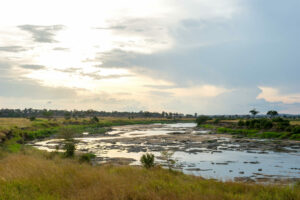 tanzania serengeti mara mara tented lodge 9