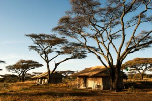 tanzania serengeti mara under canvas tented camp 10